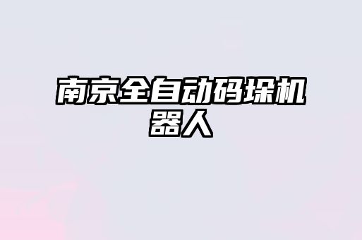 南京全自動(dòng)碼垛機(jī)器人