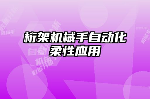 桁架機械手自動化柔性應用