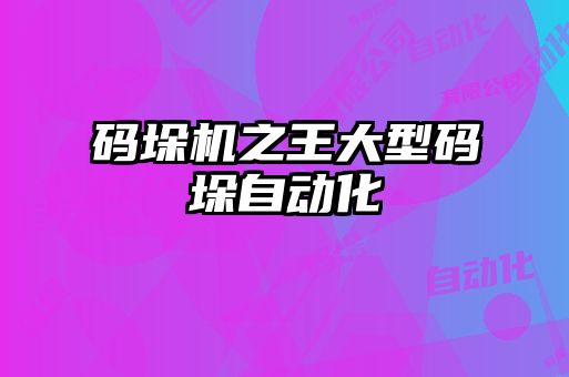 碼垛機(jī)之王大型碼垛自動(dòng)化