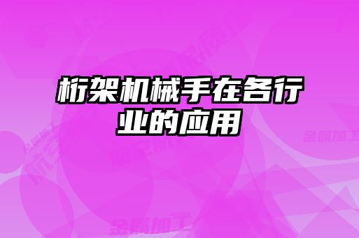桁架機械手在各行業(yè)的應(yīng)用
