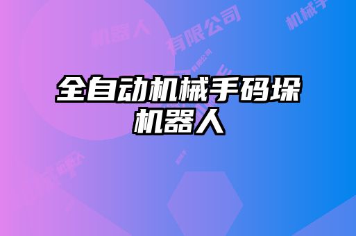 全自動機(jī)械手碼垛機(jī)器人