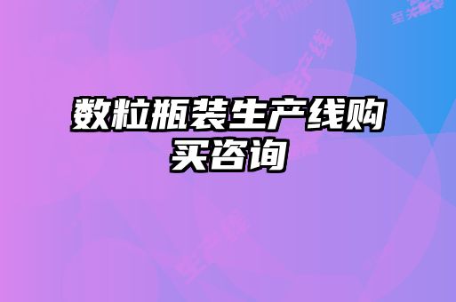 數(shù)粒瓶裝生產(chǎn)線購(gòu)買(mǎi)咨詢(xún)