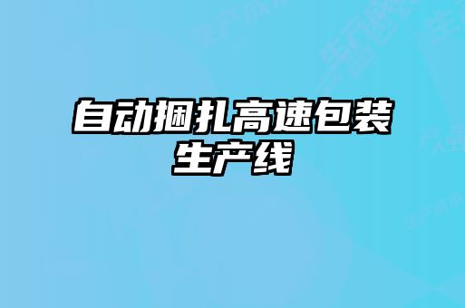 自動(dòng)捆扎高速包裝生產(chǎn)線(xiàn)