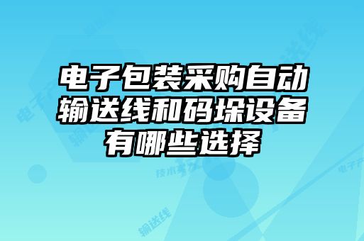 電子包裝采購自動輸送線和碼垛設(shè)備有哪些選擇