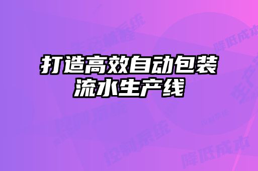 打造高效自動包裝流水生產線