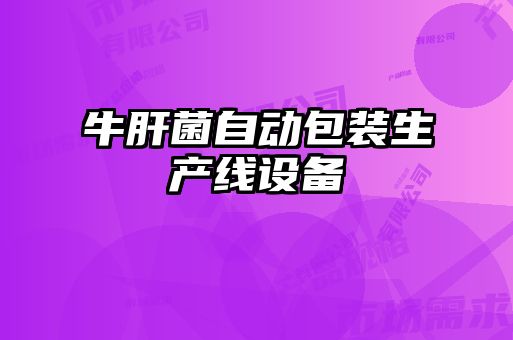 牛肝菌自動(dòng)包裝生產(chǎn)線設(shè)備