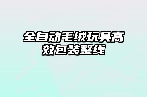 全自動(dòng)毛絨玩具高效包裝整線