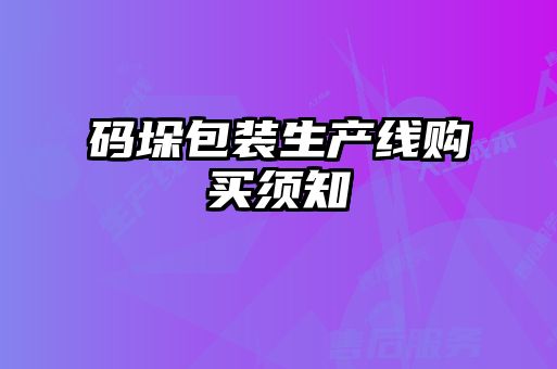 碼垛包裝生產線購買須知