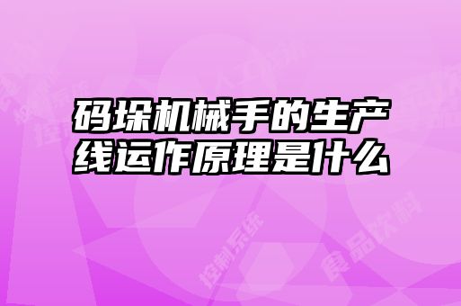 碼垛機(jī)械手的生產(chǎn)線運(yùn)作原理是什么