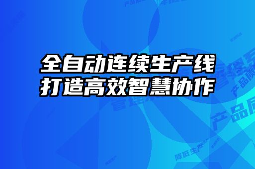 全自動(dòng)連續(xù)生產(chǎn)線打造高效智慧協(xié)作