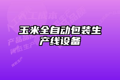 玉米全自動包裝生產(chǎn)線設備