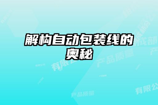 解構(gòu)自動(dòng)包裝線(xiàn)的奧秘